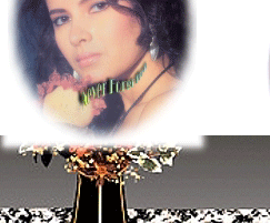 Our memorials are porcelain portraits which are for:  grave markers, a mausoleum or urn